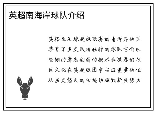 英超南海岸球队介绍